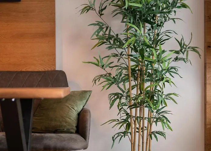 Kleiner Alpiner Boudoir In Der Residenz Silvretta Apartament