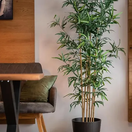 Kleiner Alpiner Boudoir In Der Residenz Silvretta Apartman